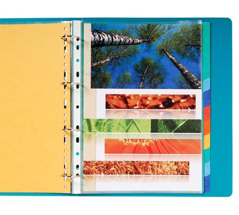 EXACOMPTA Jeu d'intercalaires 12 positions format 24x30cm pour pochettes perforées. Carte lustrée 3/10e