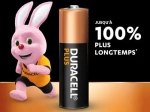 DURACELL Piles alcalines AA Plus 100%, 1,5V LR6 MN1500, lot de 12 piles